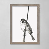 Little Bird One - 12 x 16