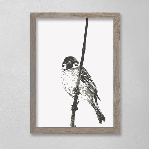 Little Bird One - 12 x 16