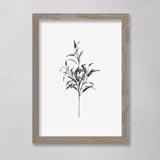 Botanical - Margie - 12 x 16