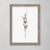 Botanical - Pam - 12 x 16