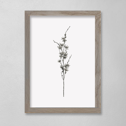 Botanical - Pam - 12 x 16