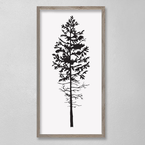 EVERGREEN TREE GREENHORN