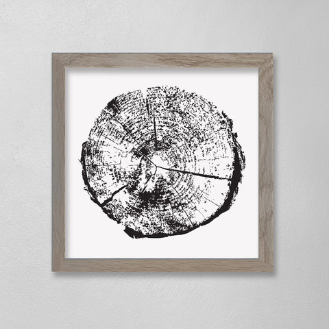 EVERGREEN STUMP MINER - 12 X 12