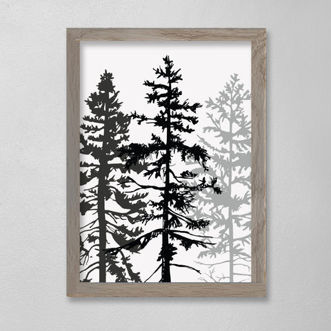 EVERGREEN - THREE LITTLE TREES - 12 X 16