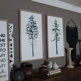 EVERGREEN QUOTE AND INTO THE FOREST