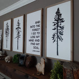 EVERGREEN QUOTE AND INTO THE FOREST