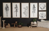 EVERGREEN QUOTE AND INTO THE FOREST