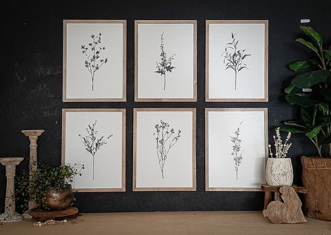 Botanical - Bundle - Set of Six 12 x 16