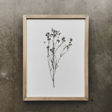 Botanical - Lucy - 12 x 16