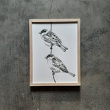 Little Bird Two - 12 x 16