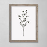 Botanical - Cherry - 12 x 16