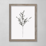 Botanical - Francis - 12 x 16