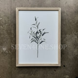 Botanical - Bundle - Set of Six 12 x 16