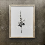Botanical - Bundle - Set of Six 12 x 16