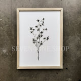 Botanical - Bundle - Set of Six 12 x 16