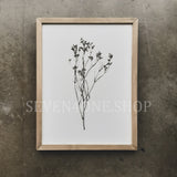 Botanical - Bundle - Set of Six 12 x 16