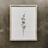 Botanical - Bundle - Set of Six 12 x 16