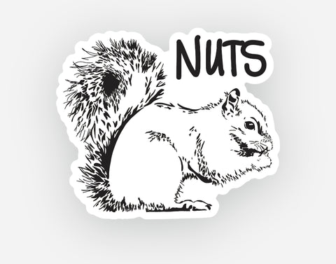 SQUIRREL STICKER