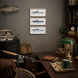 TROUT SERIES — Framed Art | 8x16