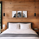 EVERGREEN STUMP TRIPTYCH — Trailside Series | Three 12x16 Framed Prints