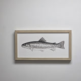 RAINBOW TROUT 8 X 16