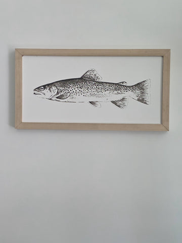BROWN TROUT 8 X 16