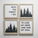 INTO THE FOREST — Quad Set | Four 8x8 Framed Prints