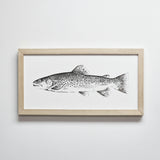 TROUT SERIES — Framed Art | 8x16
