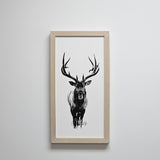 ELK