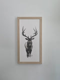 ELK