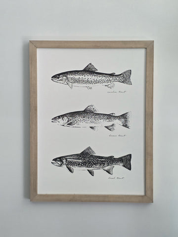 TROUT LINE UP 12 X 16