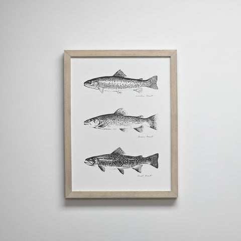 TROUT LINE UP — Framed Art | 12x16
