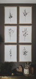 Botanical - Bundle - Set of Six 12 x 16